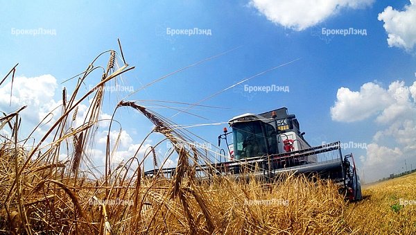 Упрощение взысканий на залоговые земли может стать реальностью