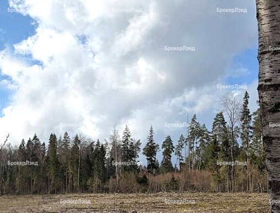 Фото парка