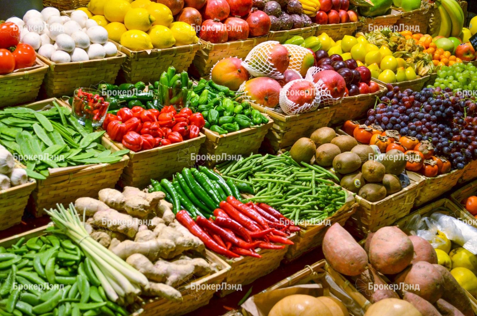 Производство сельхозпродукции выросло в Подмосковье на 25% за 3 года