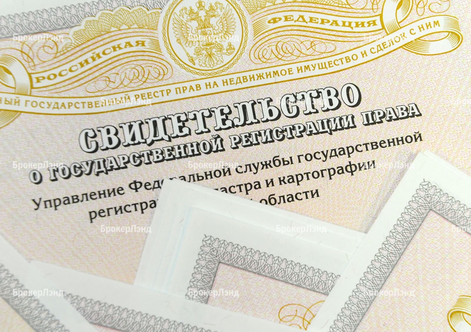 Как заработал новый реестр недвижимости