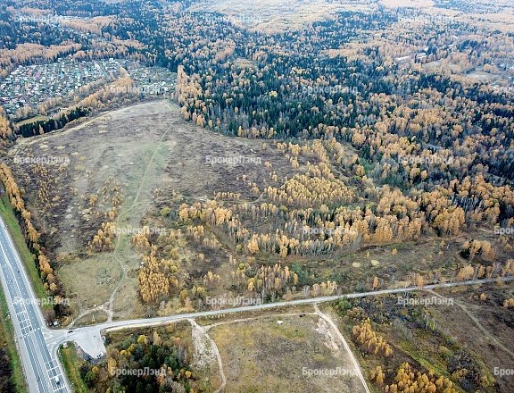 Фото парка
