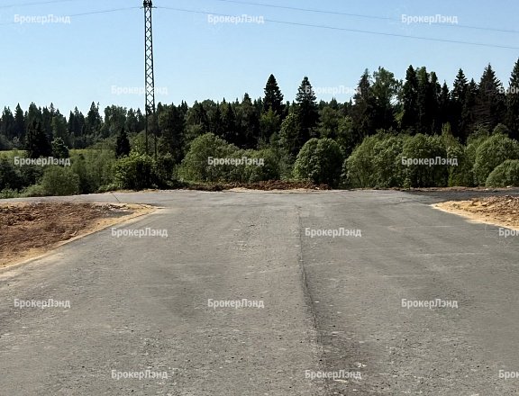Фото парка