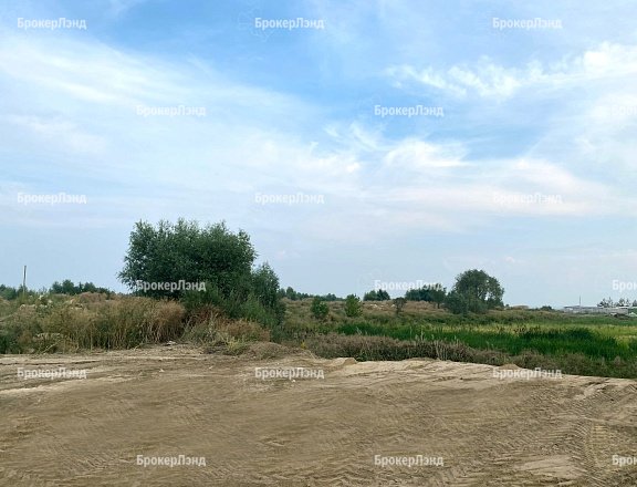 Фото парка