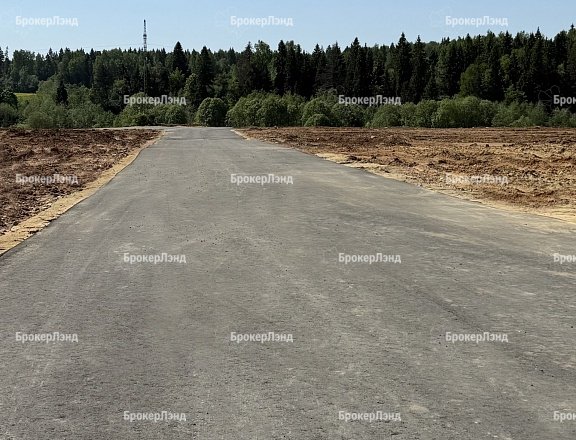 Фото парка