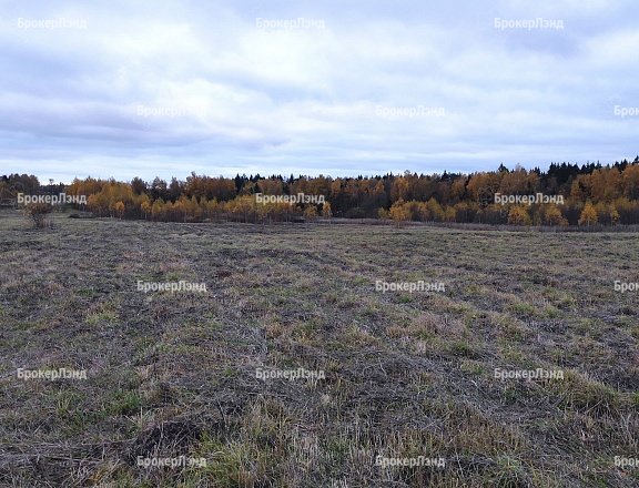 Фото парка
