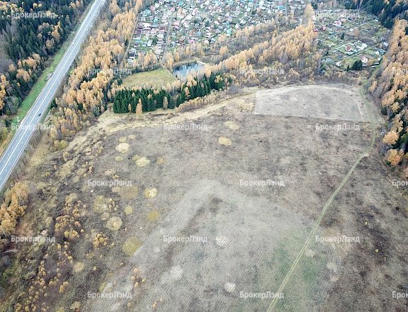 Фото парка