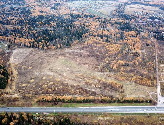 Фото парка