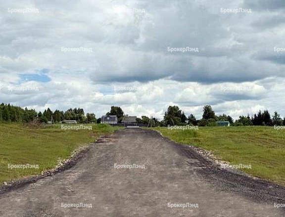 Фото парка