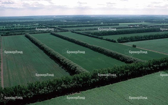 Только 50% участков в России имеет установленные границы