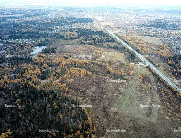Фото парка