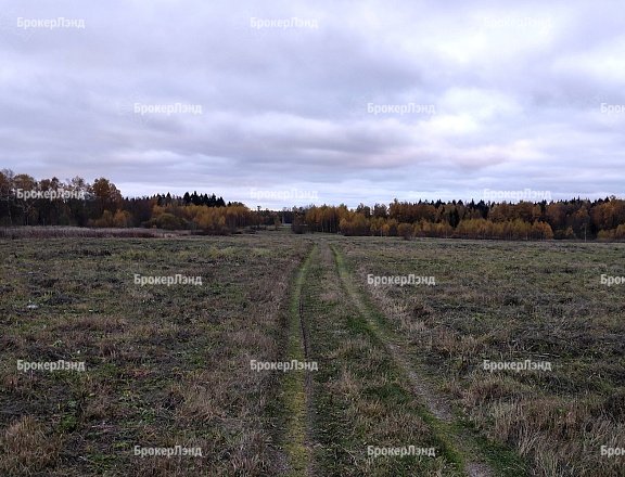 Фото парка