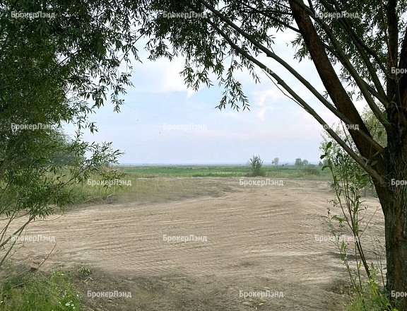 Фото парка
