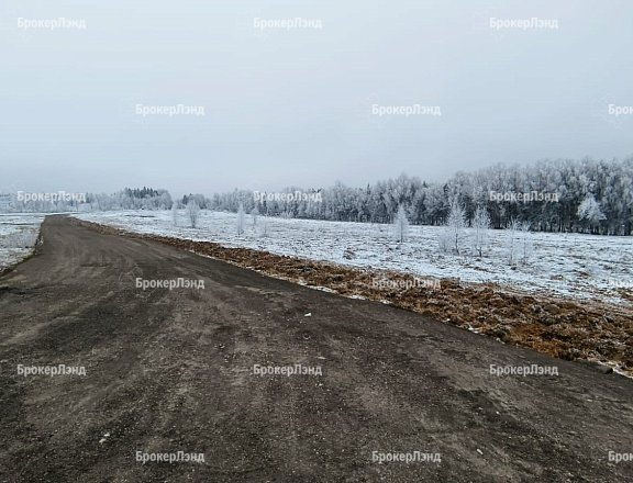 Фото парка