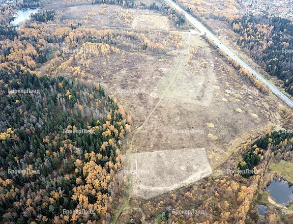 Фото парка