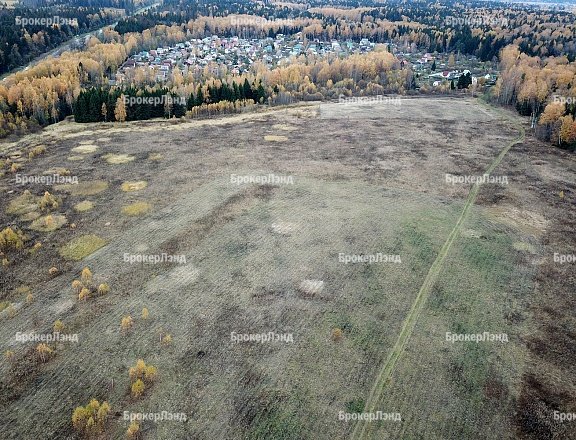 Фото парка