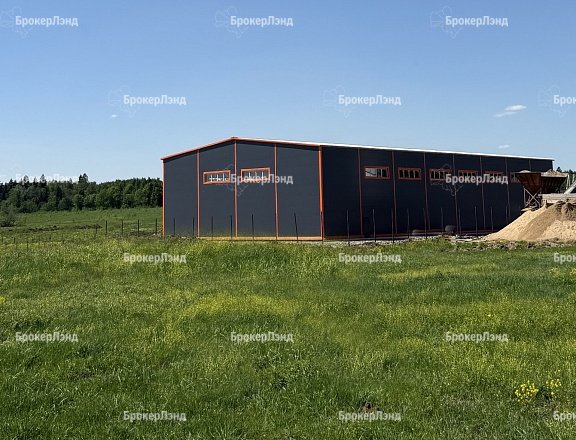 Фото парка
