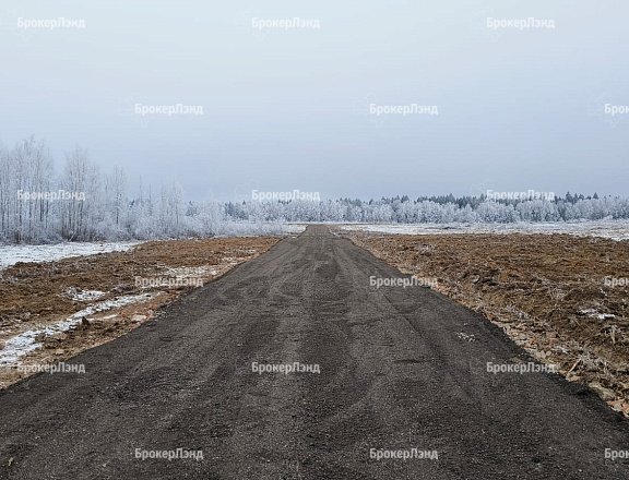 Фото парка