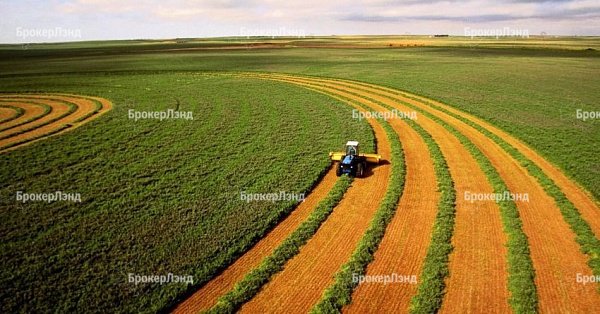 В Московской области определились регионы-лидеры в сфере введения сельхоз земель в оборот