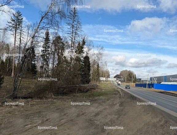 Фото парка