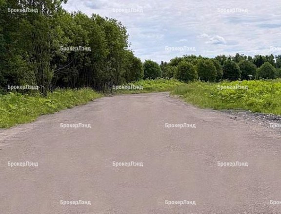 Фото парка