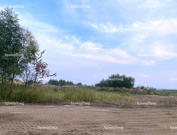 Фото парка