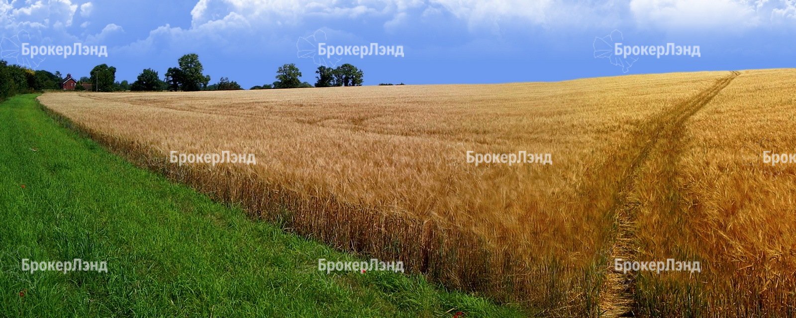 Законопроект по улучшению механизма залога земель с/х назначения отложен