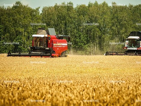 МИНСЕЛЬХОЗ РФ за 2 дня поддержал порядка 65% инвестиционных займов