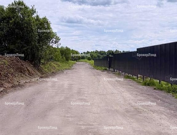 Фото парка