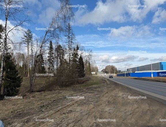 Фото парка