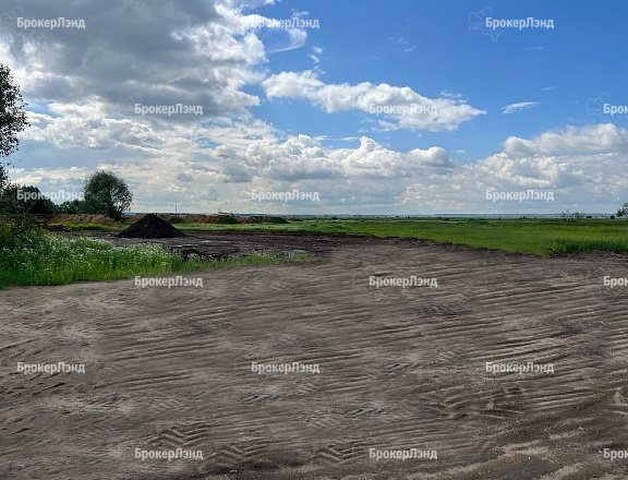 Фото парка