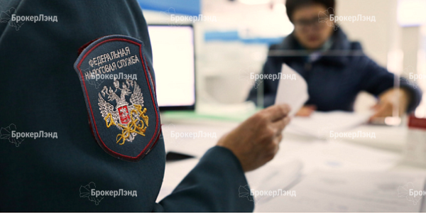 Какие налоги нужно оплатить до 3 декабря