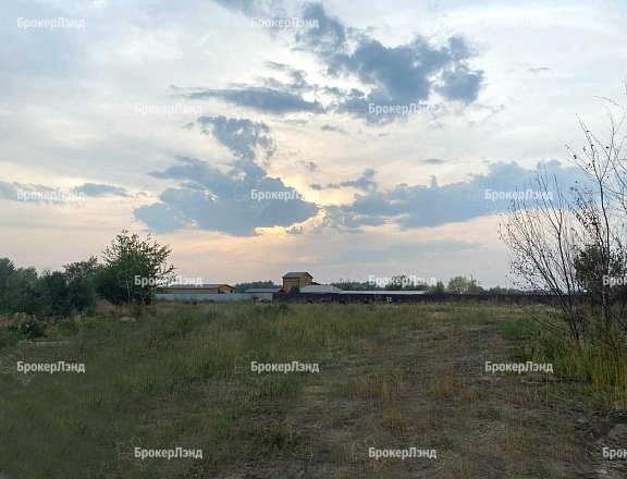 Фото парка