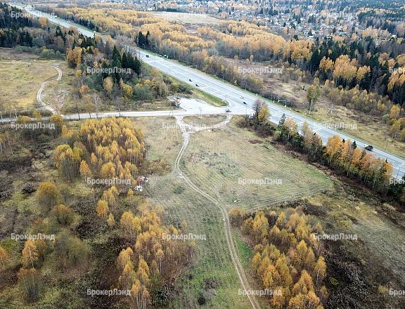 Фото парка
