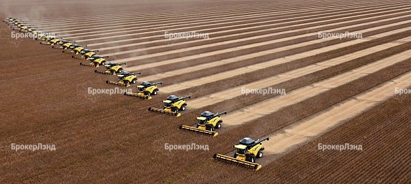 Агрохолдинги прибавляют в весе