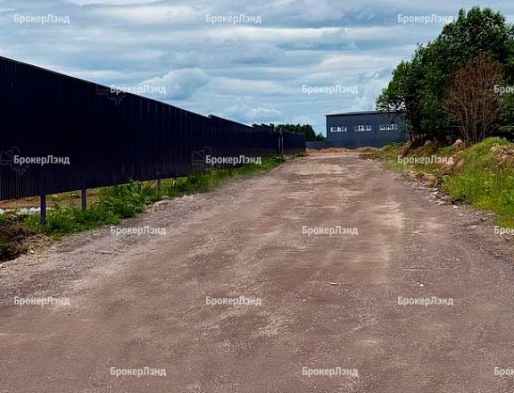 Фото парка