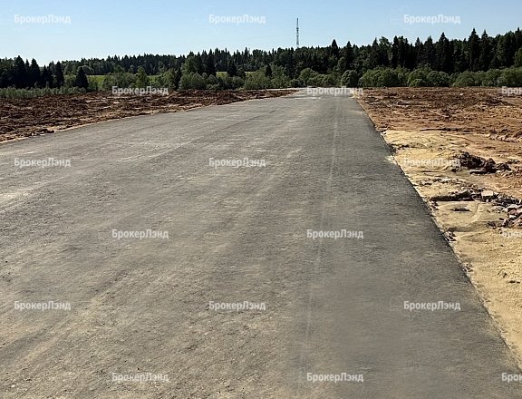 Фото парка