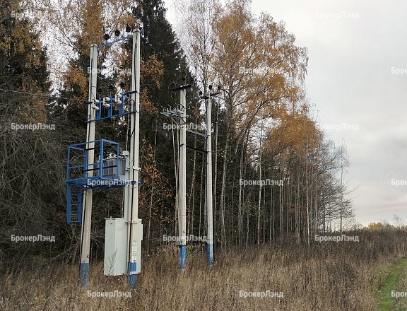 Фото парка