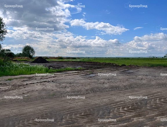 Фото парка