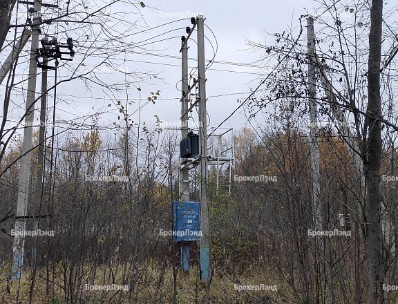 Фото парка