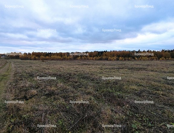 Фото парка