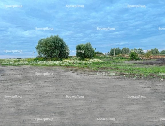 Фото парка