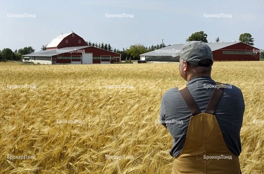 Крестьянские хозяйства могут ограничить в землях.