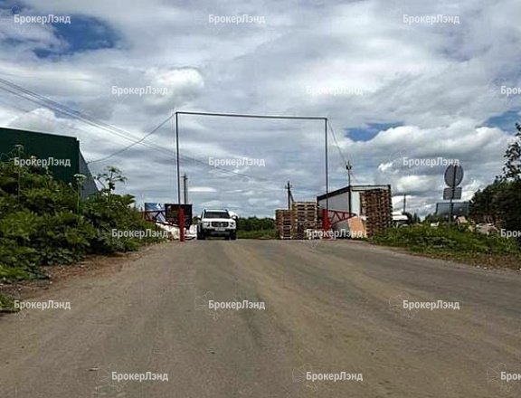 Фото парка
