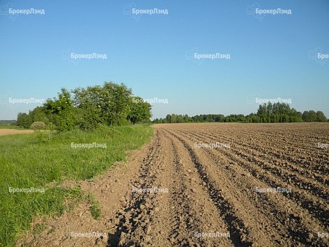 Власти Подмосковья решили увеличить показатель государственной поддержки ввода земель в сельхозоборот