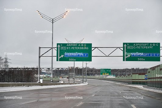 Власти передали 43 га леса в Подмосковье под строительство дороги Москва-СПБ