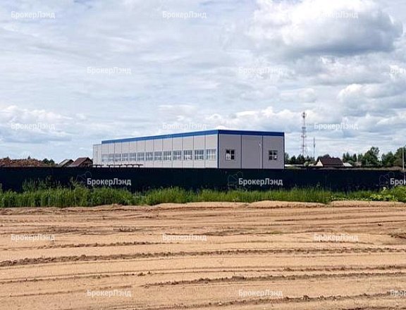 Фото парка