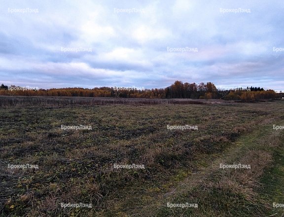 Фото парка