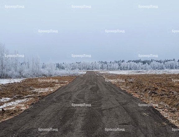 Фото парка