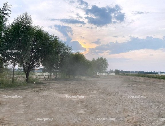 Фото парка