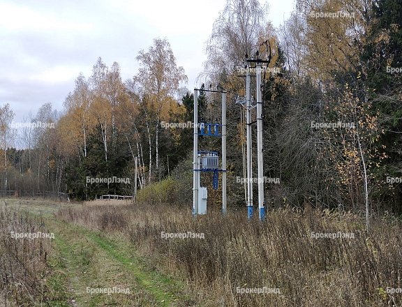 Фото парка